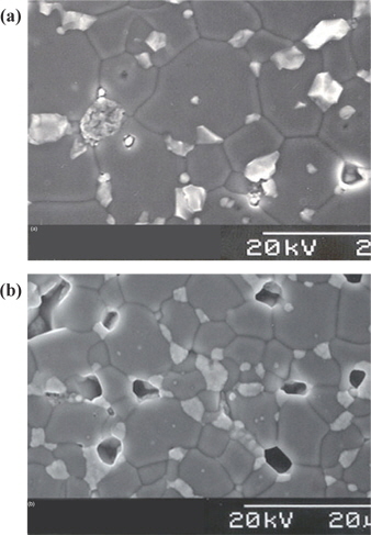 SEM micrographs of the samples: (a) 0.5 mol% Er2O3 and (b) 2.0 mol% Er2O3.
