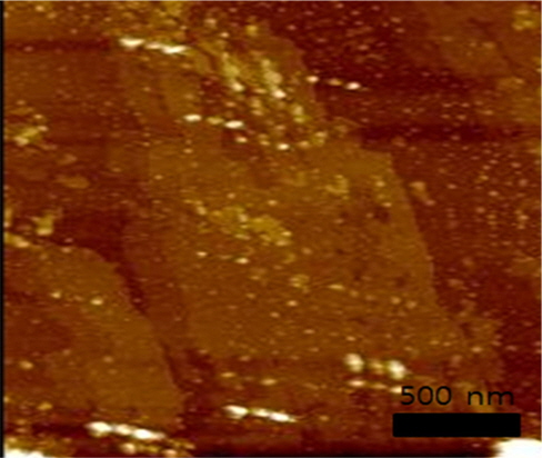 AFM image of the graphene thin film deposited with a laser density of 1.2 J/cm2 at a substrate temperature of 600℃.