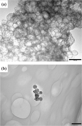 TEM images of (a) CIC with a scale size of 100 nm and (b) ZrO2 balls with a scale size of 200 nm.
