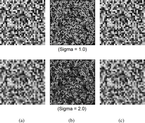 Training images after Gaussian blurring with sigma = 1.0(the first row) and sigma = 2.0(the second row): (a) blurred images, (b) edge maps and (c) noisy images, respectively.