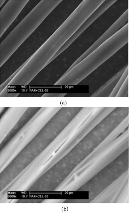 Scanning electron micrographs (×3000) of the composite carbon fibers: (a) secondary electron image, (b) backscattered electron image.