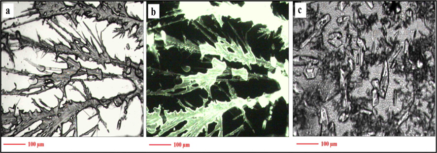 Optical microscopic image of crystallised carbon dots in (a) ambient light (b) under UV-light and (c) crystals of dialysed NaOH-ethanol mixture (which did not show fluorescence).