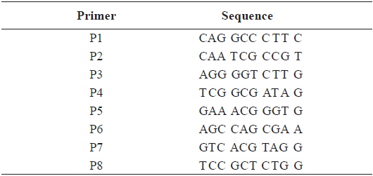 Sequence of the primers used for RAPD PCR in this study