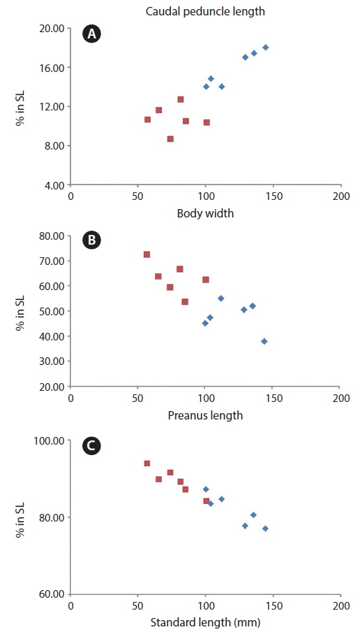 Comparison of relationships between standard length (SL) and proportional measurements of caudal peduncle length (A), body width (B), and preanus length (C) for Cyclichthys orbicularis from Korea (rectangle) and from Japan (diamond).