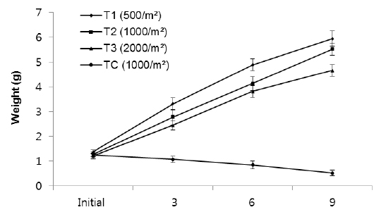 Growth in total weight of medium body size (0.6~1.5 g) group of rockworm Marphysa sanguinea reared under 3 different densities (T1, T2, T3) and a non-feeding (TC) condition for 9 months. Error bars represent the standard deviation of the means.
