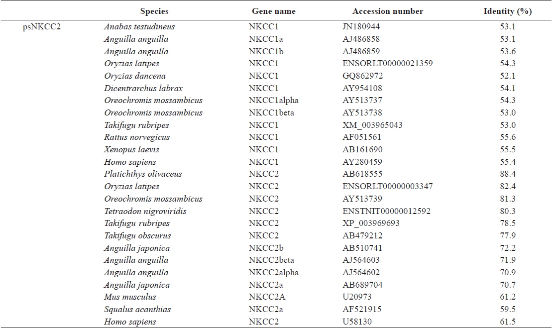 Protein sequence identities of starry flounder NKCC2 with other orthologs