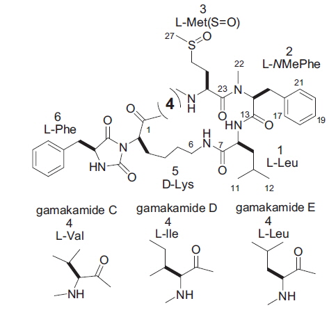 Structures of gamakamide C, D and E.