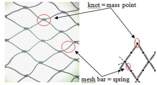 Determining as a mass point and as a spring in mass-spring model.