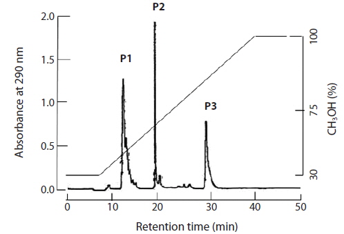 A representative HPLC profile of phlorotannins extracted from muscle tissue of abalone fed Eisenia bicyclis for 20 d. Muscle paste was subjected to solvent-water partition extraction, and phlorotannins were separated by RP-HPLC using a 30？100% methanol gradient on a C18 column. Peaks 1, 2, and 3 absorbing at 290 nm represent the P1 compound, 7-phloroeckol, and eckol, respectively