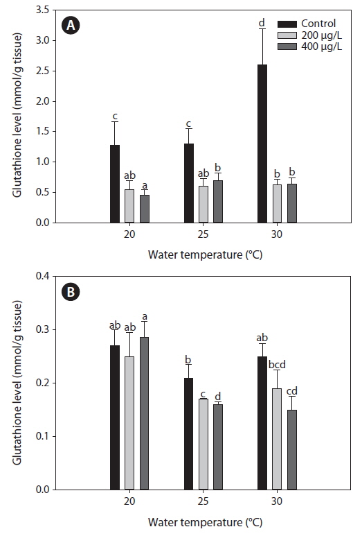 Reduced glutathione (GSH) level in liver (A) and gill (B) tissues tilapia O. niloticus exposed to various arsenic concentrations at 20, 25 and 30℃ for twenty-days. Each point represents a mean value ± S.D of three replicates. Vertical bar denotes a standard error (n = 10). Values with different superscript are significantly different (P < 0.05) as determined by Duncan’s multiple range test.