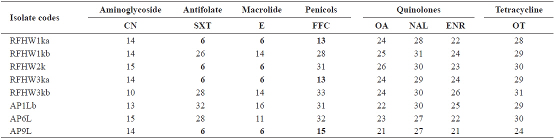 Inhibitory zone diameters (mm) of Vibrio harveyi isolates obtained from pacific sand eel Ammodytes personatus and infected Korean rockfish Sebastes schlegeli