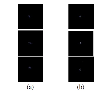 Images captured by CCD (a) before and (b) after correction.