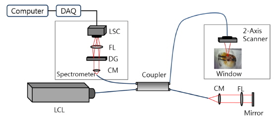 Schematic diagram of the developed optical coherence tomography system. LSC: line scan camera, FL: focusing lens, DG: diffraction grating, CM: collimating lens, LCL: low coherence light, DAQ: data acquisition system.