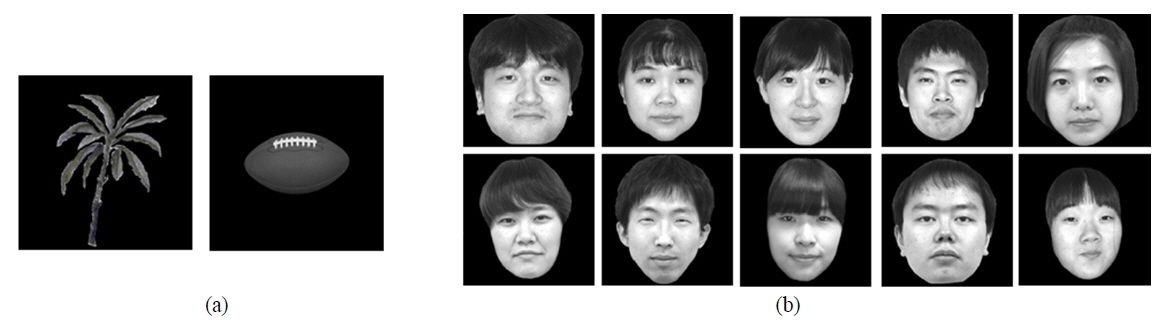 Test images: (a) two occlusion images, (b) ten ‘face’ images.