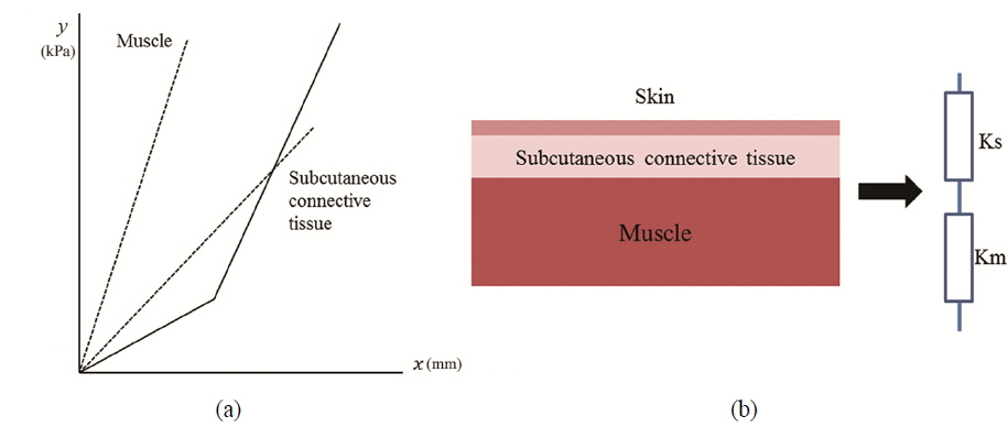 (a) Hardness of subcutaneous and muscle tissue. 21 The displacement is plotted on the x-axis and the pressure on the y-axis to obtain a pressure-displacement curve. Gradient of this curve gives the hardness in kPa/mm. (b) A schematic diagram showing the elastic tissue in the human body and a two-layer spring model.