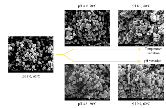 FE-SEM front views of deposited nickel clusters at various pH and temperature values.