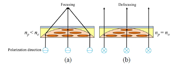 Principle of (a) focusing and (b) defocusing of the proposed lens, depending on the incident polarization state using index mismatching (ne > np), and index matching (no = np) conditions, respectively.