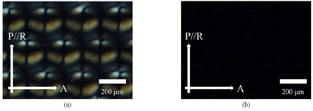 Polarizing-microscope images showing the RM alignment texture when the rubbing direction of the PVA layer is parallel to the transmission axis of one of the polarizers: (a) RM layer aligned using only bottom-up alignment with the underlying rubbed PVA layer, and (b) RM layer aligned additionally by top-down geometric alignment effect using nanogrooves on the PDMS mold (P: bottom polarizer, R: optical axis of RM layer, A: top polarizer orthogonal to P).