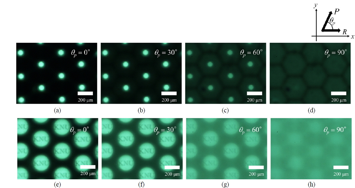 (a), (b), (c), and (d): CCD images at the focal plane, showing the focusing behavior of the polarization-dependent RM lens array according to the polarization condition; (e), (f), (g), and (h): CCD images at the image plane showing the imaging behavior of the polarization-dependent RM lens array according to the polarization condition.
