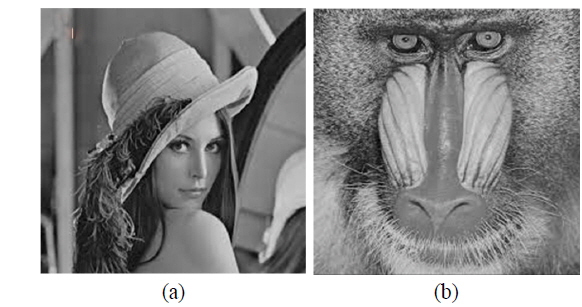 Grayscale test images. (a) true class image, (b) false class image.