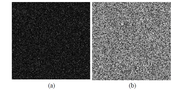 Encrypted images. (a) amplitude image, (b) phase image.