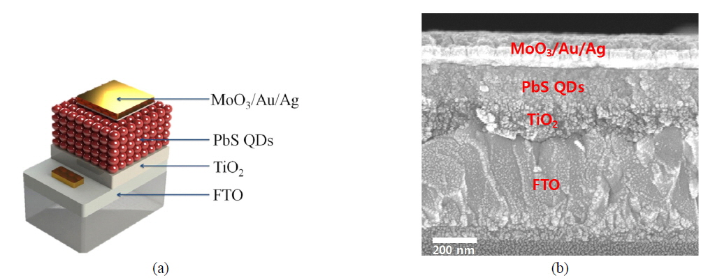 (a) Device scheme for thickness dependent characterization, and (b) cross sectional SEM image for the 200 nm-thick solar cell.