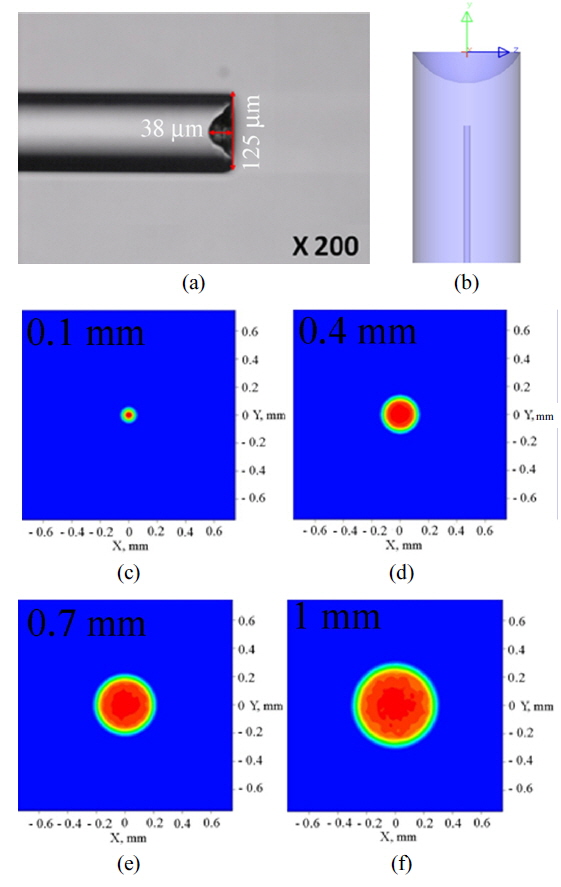 (a) Side view of the plano-concave micro-lensed fiber; (b) plano-concave micro-lensed fiber during simulation; (c-f) beam profile of light after 0.1 mm, 0.4 mm, 0.7 mm, and 1 mm distance from the end face of the plano-concave fiber tip.