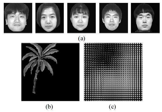 Test images (a) five ‘face’ images used as the target object in the experiment (b) occluding object (c) elemental image array of the fifth ‘face’ image with occlusion.