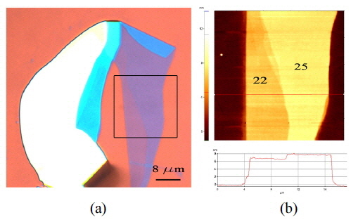 (a) Image of an h-BN flake on SiO2/Si substrate, from an optical microscope. (b) AFM image of the square region (19 μm × 19 μm) in (a). Lower profile indicates the height along the red horizontal line in the AFM image.