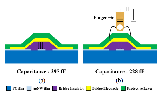 The schematic view of the working principle of capacitive TSP: The configuration of electric field lines and measured capacitances (a) before and (b) during touching.
