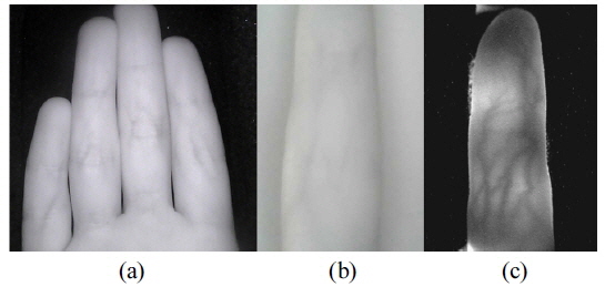 (a) Reflection-type four-finger image, (b) reflection-type one-finger image, and (c) transmission-type one-finger image.