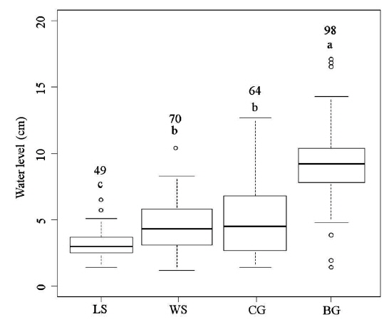 Box plots representing the range of water levels used by each species in the rice fields. Boxes represent the interquartile range of water levels at which each species was recorded, and lines within each box denote the median value; whiskers encompass the majority of points; outliers are identified by circles. Sample sizes for each species are given above the box plots. Different letters represent significantly different among the species according to the Nemenyi？Damico？Wolfe？Dunn joint ranking test. LS, WS, CG, and BG denote Long-toed Stints, Wood Sandpipers, Common Greenshanks, and Black-tailed Godwits, respectively.