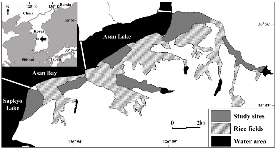 Map of study areas. Total rice field areas in the southern part of Asan Bay, Korea, are indicated by the grey and shaded areas. Regions of water are indicated in black.
