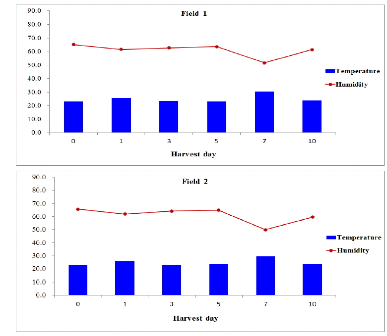 Changes of temperature and humidity during cultivation of winter-grown cabbage.