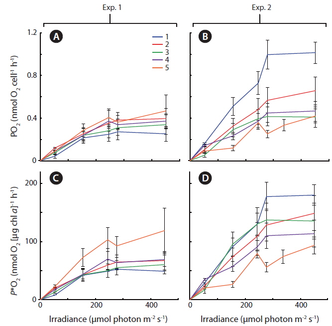 Photosynthesis vs. irradiance curves for cultures #1-5 as measured with oxygen optical O2 sensors. (A & B) Gross photosynthetic rates vs. irradiance, in Exp. 1 and 2, respectively. (C & D) Chl a-normalized rates of gross photosynthesis (P*) vs. irradiance, in Exp. 1 and 2, respectively. Error bars indicate ±1 S.E. (n = 3).
