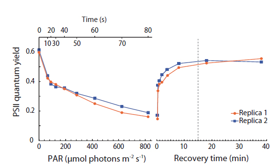 PSII quantum yield measurements as a function of irradiance and as a function of time after return to darkness, showing the recovery of the photosynthetic apparatus to the dark-adapted state. PAR, photosynthetic active radiation.