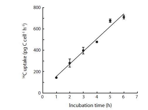 14C uptake of Coscinodiscus granii cells, as a function of incubation time under an irradiance of ~100 μmol photons m-2 s-1. The line represent a linear regression, r2 = 0.98, error bars indicate ± 1 S.E. (n = 3).