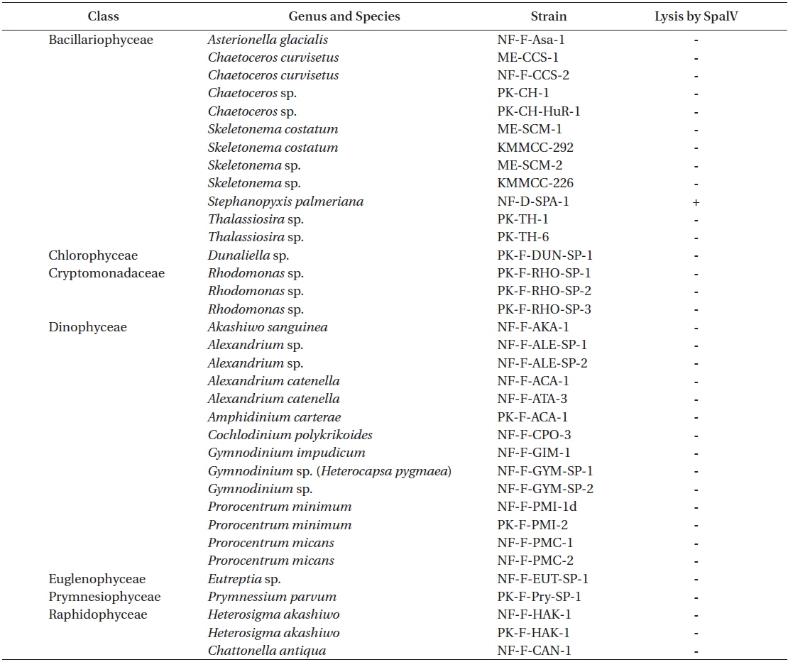Infection specificity of Stephanopyxis palmeriana virus (SpalV) against 35 strains of marine phytoplankton