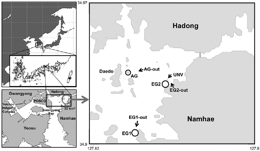 Locations of the study sites in Gwangyang Bay on the southern coast of Korea. Sub-systems are distinguished by the vegetation types and community compositions of autotrophs with vegetation: AG (macroalgae and phytoplankton) and EG (eelgrass, phytoplankton, and microphytobenthos) and without vegetation: AG-out (phytoplankton), EG-out (phytoplankton and microphytobenthos), and UNV (phytoplankton and microphytobenthos).