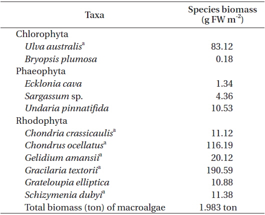 Major macroalgal species and their mean biomass at the subtidal rocky shore in June 2007