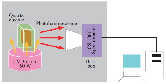 Schematic diagram of photoluminescence analysis.