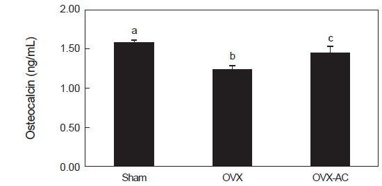 Effect of AC supplementation on osteocalcin concentration in the blood of experimental rats (n=8). All values are means SD. Means with different superscript are significantly different (P<0.05).