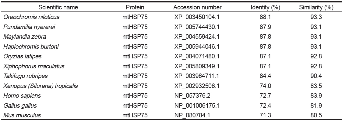 Percent identities and similarities of BsmtHSP75 with other mtHSP75 counterparts