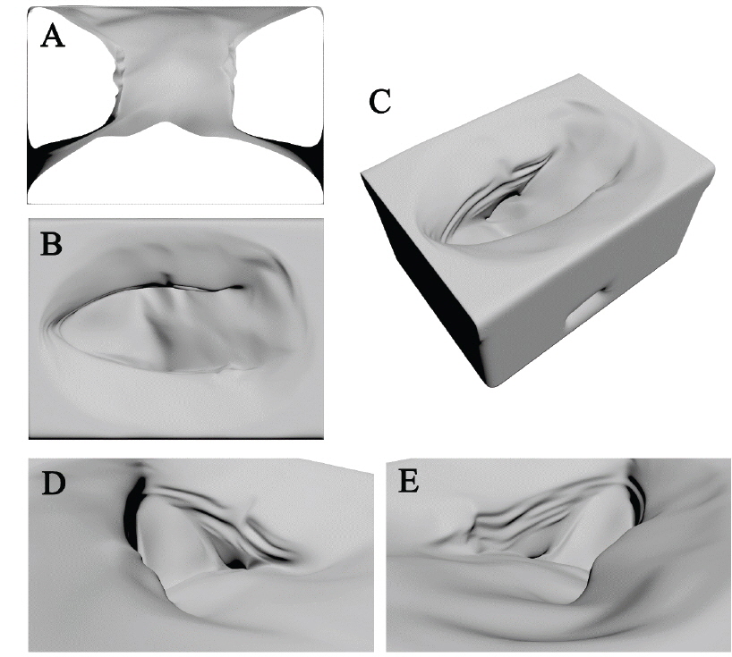 3D model rendering images of Lacus Mortis pit. (A) is a sectional view against the minor axis and shows the structure of the cave at a glance. (B) shows the shape of the pit. (C) shows an aeroview of the pit and shows the entire shape of the pit. (D) and (E) show the interior of the pit in different angles.