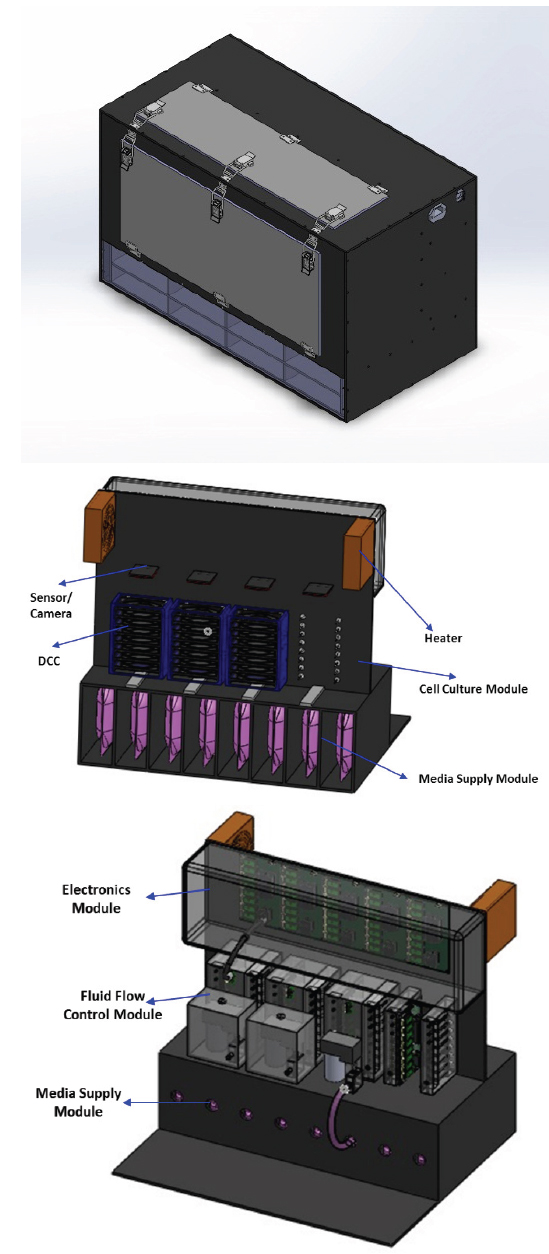 Bioreactor 3D Design (Side view, Front inside view, Rear inside view).