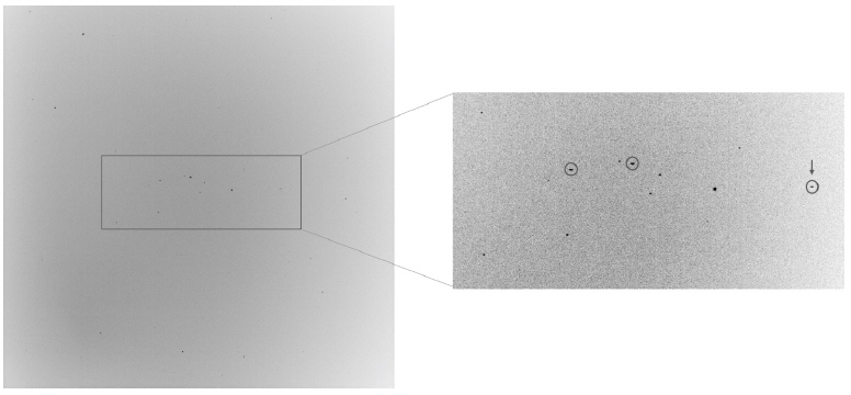 (Left) Typical raw image, which is inverted black and white, and the (right) magnified GEO objects. The circled objects are GEO candidates. The rightmost (pointed by an arrow) object is the COMS satellite. The other two objects are Japanese GEO satellites detected in the same frame.