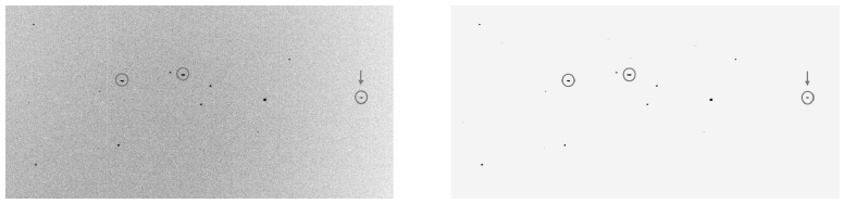 (Left) Part of a raw image and (right) its “object” check image inverted black and white. The circled objects are GEO candidates. The rightmost (pointed by an arrow) object is the COMS satellite. The other two objects are Japanese GEO satellites detected in the same frame.