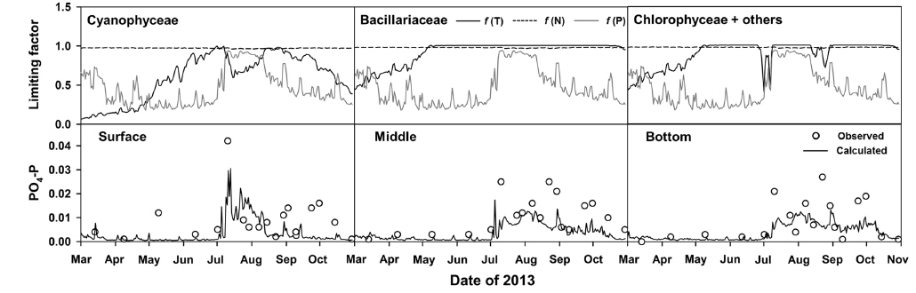 Seasonal variations of primary factors limiting the growth of three algal groups at the surface layer of EA3 and the modeling results on the PO4-P levels at the surface, middle and bottom layers of the monitoring station.