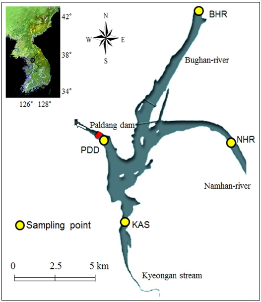 Sampling points in Paldang reservoir.