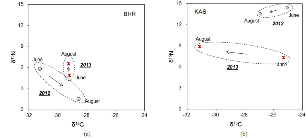 δ13C and δ15N values of June and August samples in 2012 and 2013. (a) Bughan river (BHR), (b) Kyeongan stream (KAS)